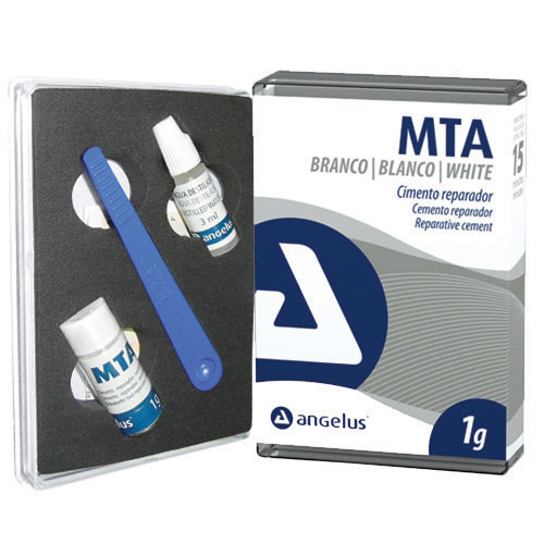 MTA Root Canal Cement Kit 1gm | ShadeGuide
